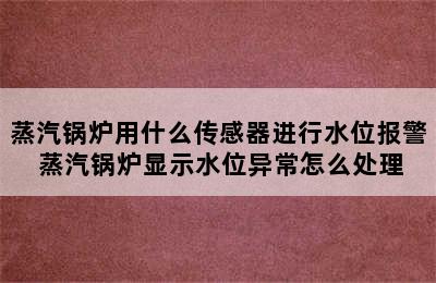 蒸汽锅炉用什么传感器进行水位报警 蒸汽锅炉显示水位异常怎么处理